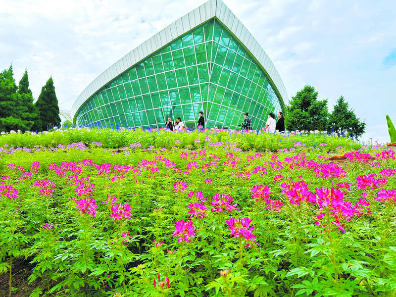 石家庄植物园风景图片