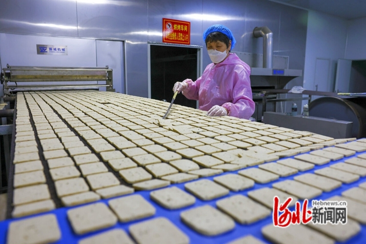 宁晋县把“小零食”做成大产业-第2张图片-1