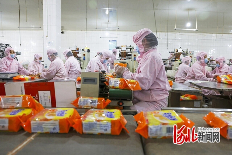 宁晋县把“小零食”做成大产业-第1张图片-1