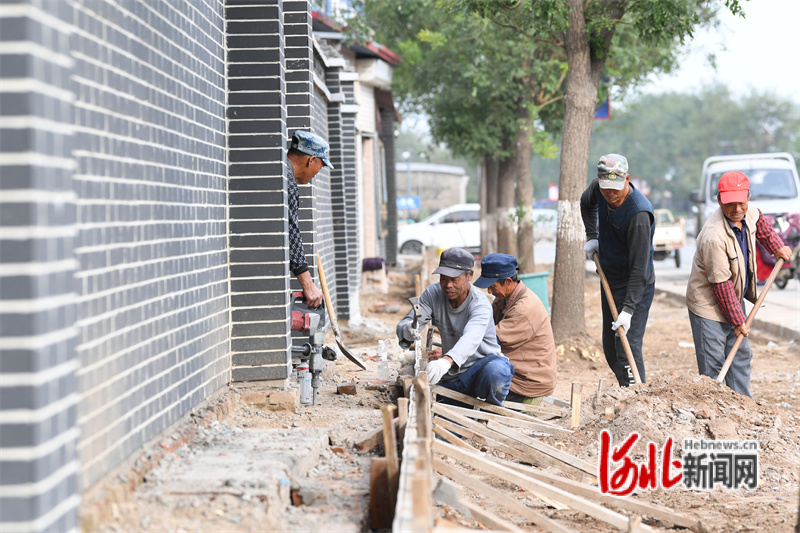 乐亭县胡家坨镇：建强村集体 人人都出力