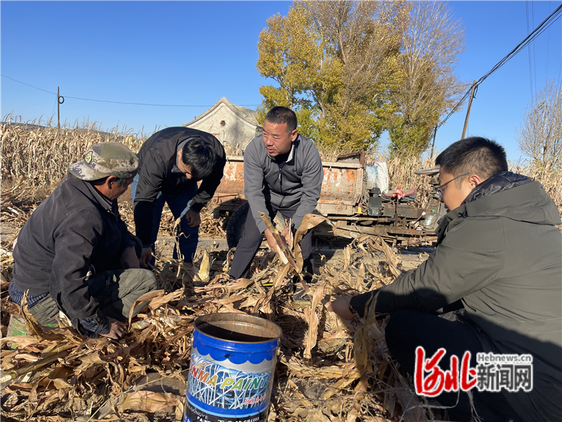 蔚县供电公司：“电管家”贴心助力 孟家堡喜获丰收