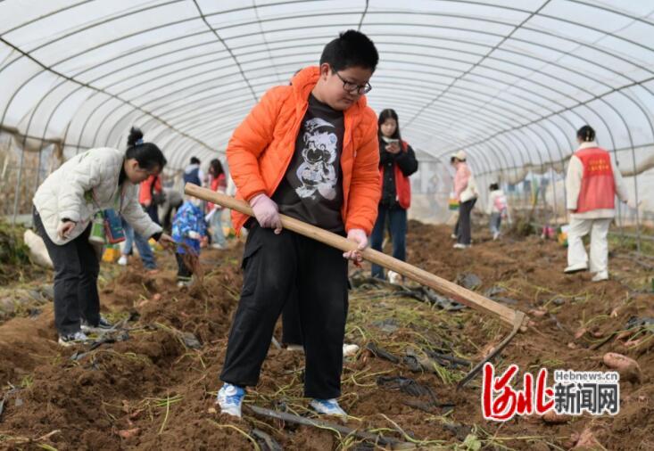 秦皇岛市北戴河区英才社区开展“小小英才美食体验官”活动