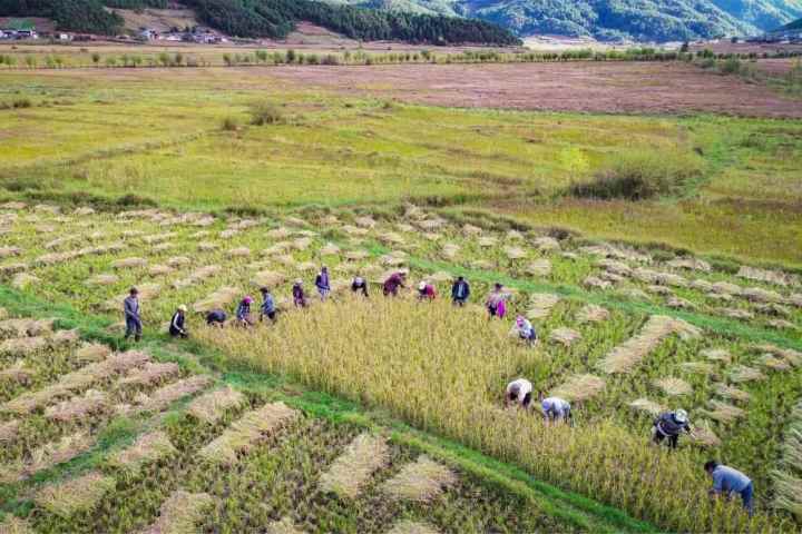 XxjnzxC007002_20221016_CBMFN0A003.jpg?x-oss-process=style/w10