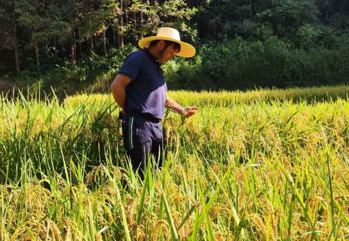 XxjnzxC007002_20221016_CBMFN0A004.jpg?x-oss-process=style/w10