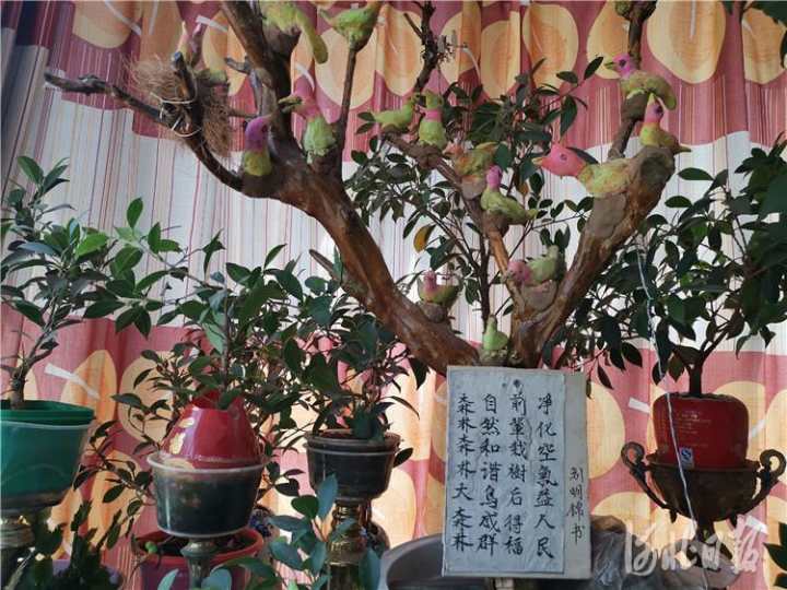 1558946176852184.jpg 八旬老人2.jpg