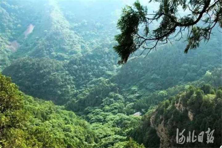 1570699166196502.jpg 1_副本.jpg