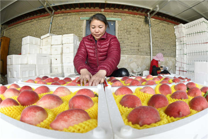 1552564542927086.jpg downLoad-20190314195159.jpg