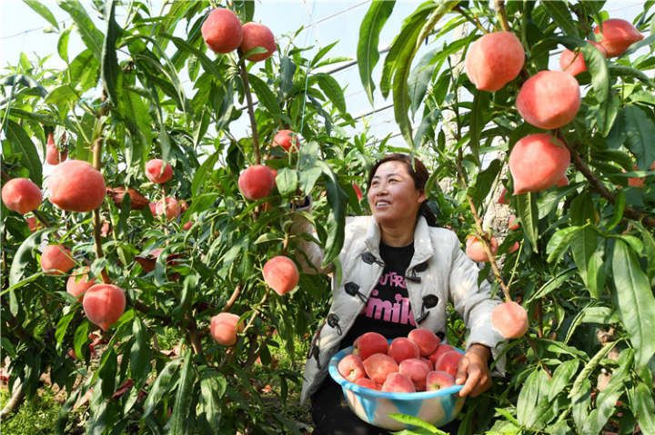 1552564536486603.jpg downLoad-20190314194921.jpg