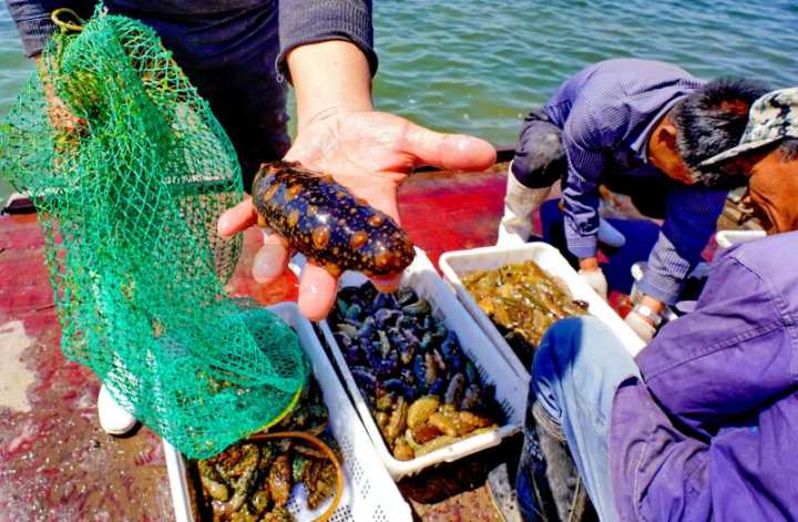 1557823719912085.jpg 44.jpg