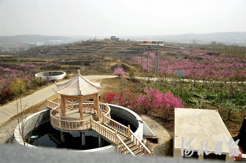 花果山农业开发有限公司打造水肥一体化灌溉系统.jpg