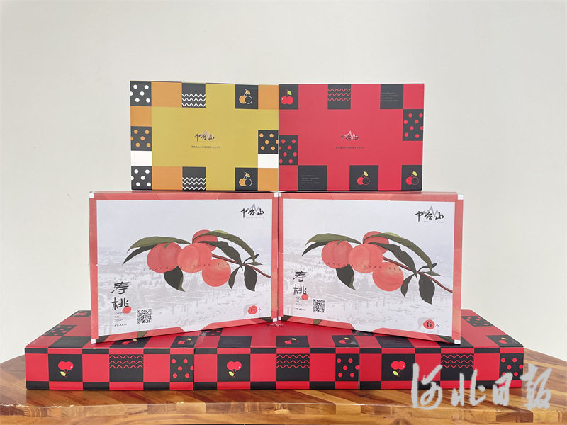 培育“中台山”区域公共品牌.jpg