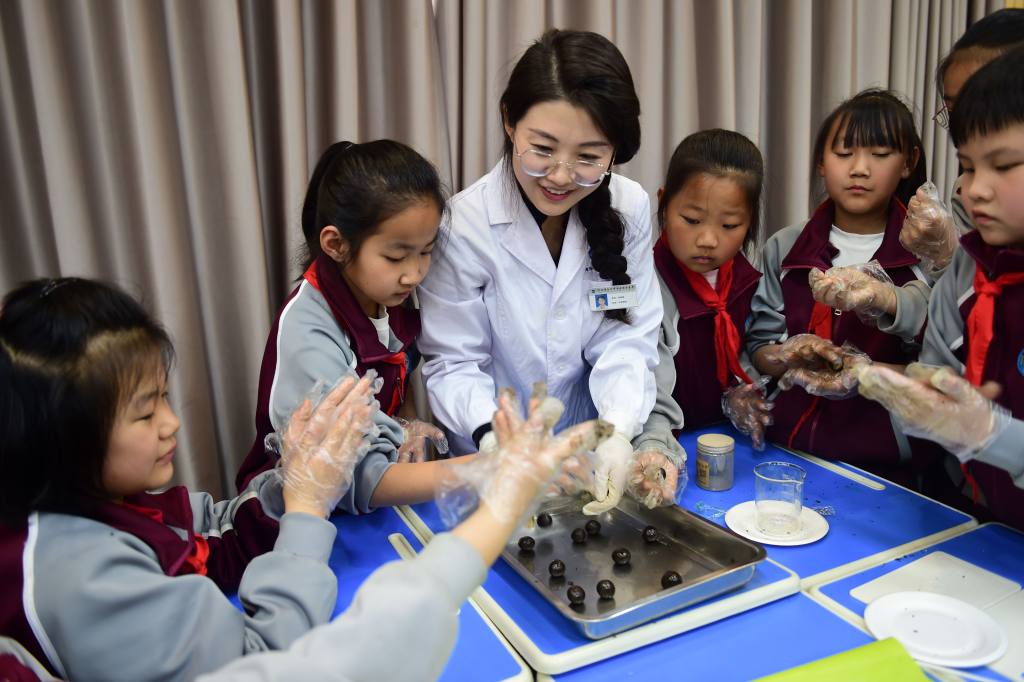 4月24日，滄州市車站小學舉辦“中藥傳統蜜丸制作”中醫文化實踐活動，孩子們在中藥師李珍珠的指導下進行搓丸。