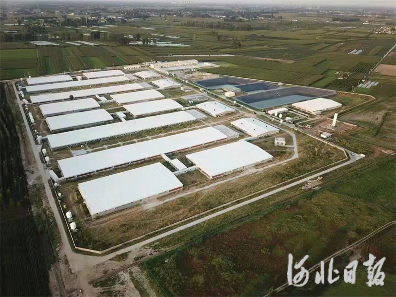 傲农万头母猪养殖基地.jpg