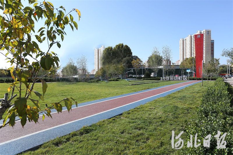 违建拆除后建成的口袋公园绿意盎然.jpg