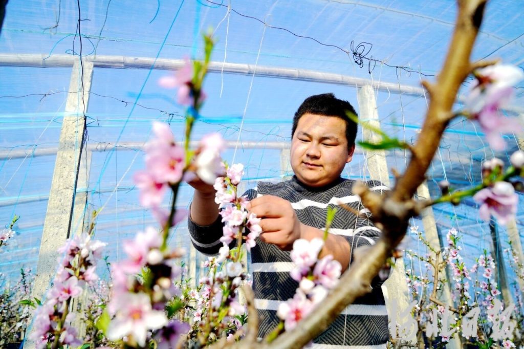 河北日报通讯员侯亚婷摄在唐山市农业农村局副局长王海丰看来,"认养