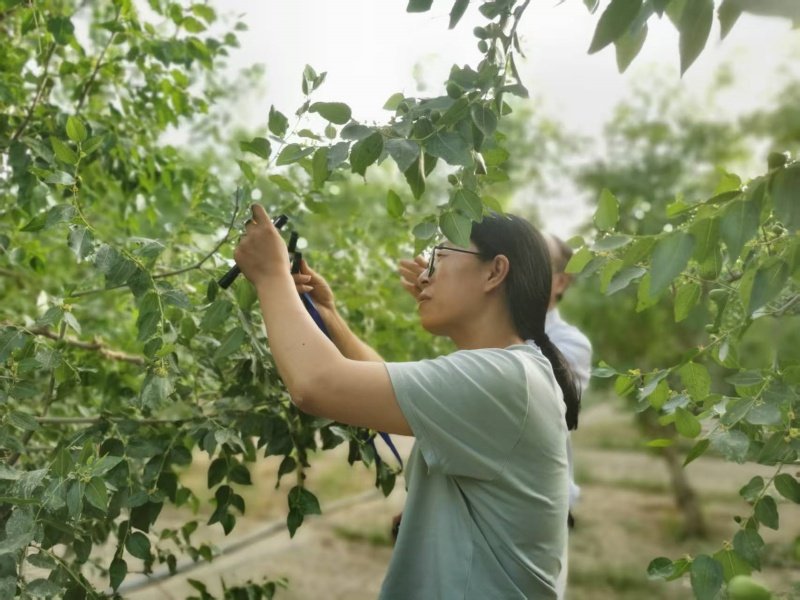 1758186876426651.jpg 配图2_副本.jpg