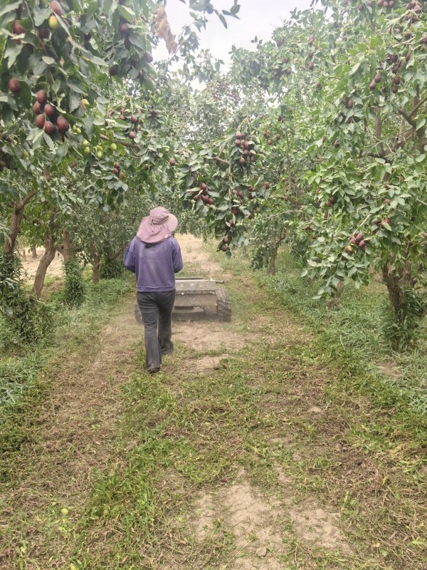 1758186729579081.jpg 配图1_副本.jpg