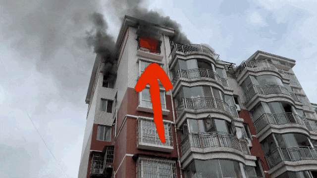 gif (1).gif