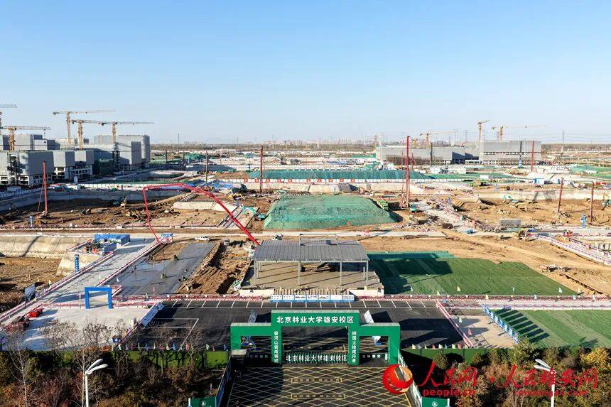 DJI_20251117152915_0162_D